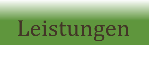 Leistungen