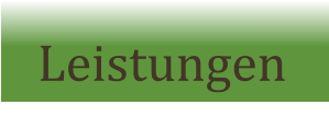 Leistungen